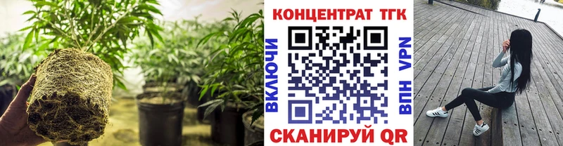 ТГК гашишное масло  цена наркотик  Боготол 