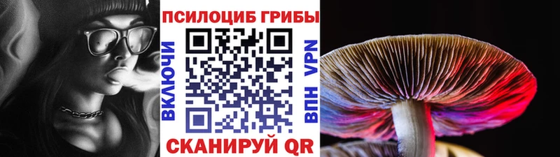 наркота  Боготол  Галлюциногенные грибы мицелий 